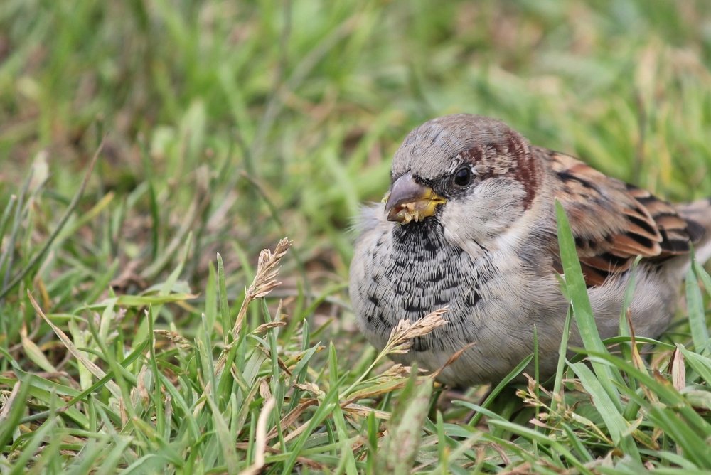 Фотография автора Владислава Андрюнина