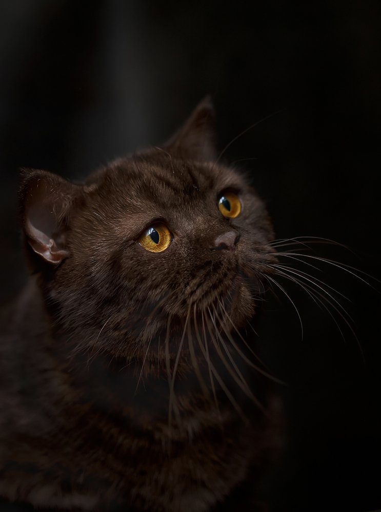 Photograph by Елена Власова