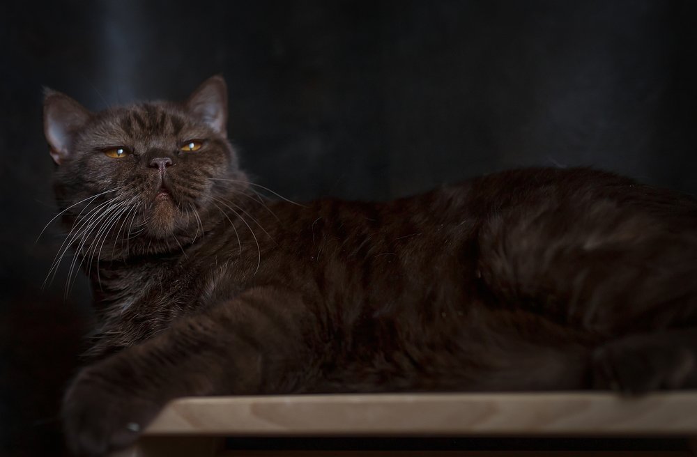 Photograph by Елена Власова