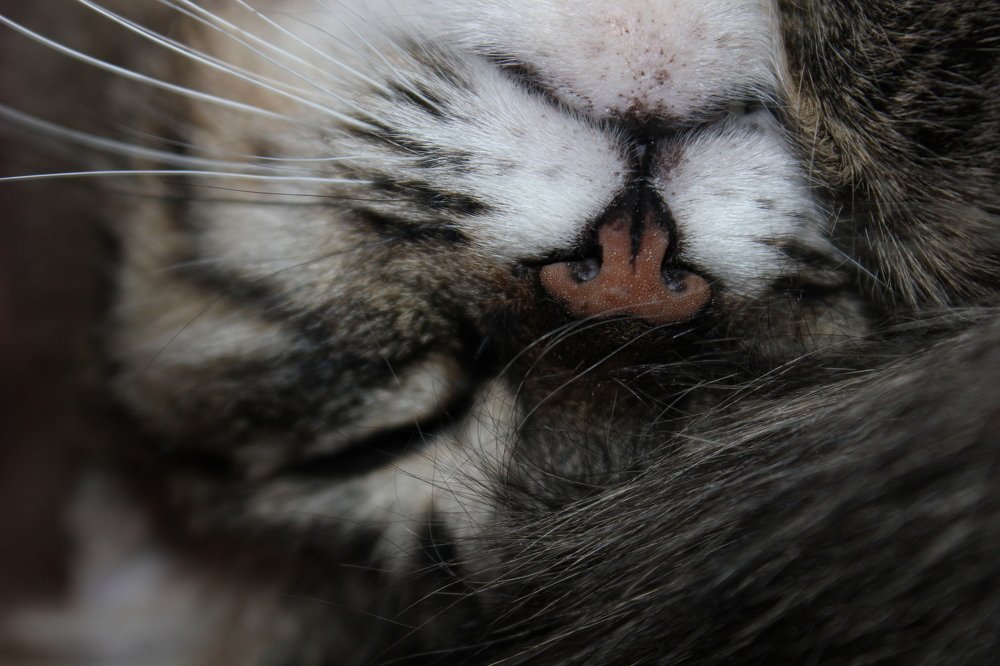 Фотография автора Владислава Андрюнина