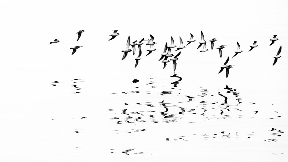 Photograph by Yvon Jolivet