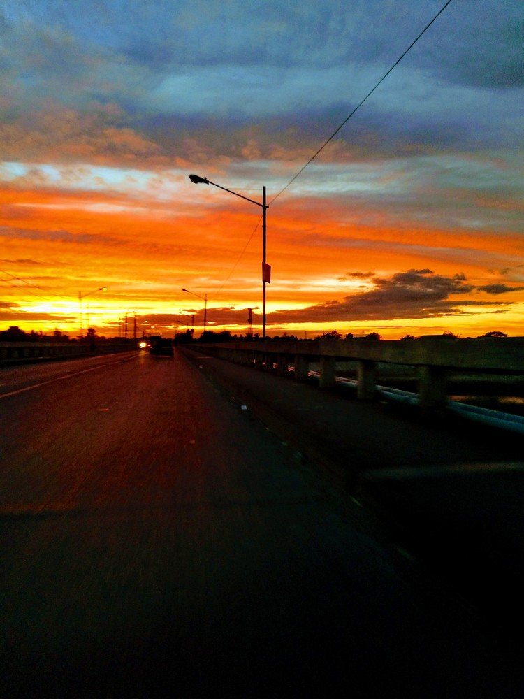 Photo #5016037