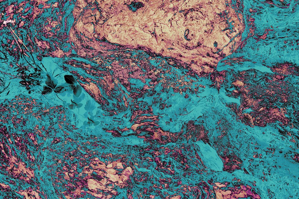 Фотография автора Vishnu Gopal