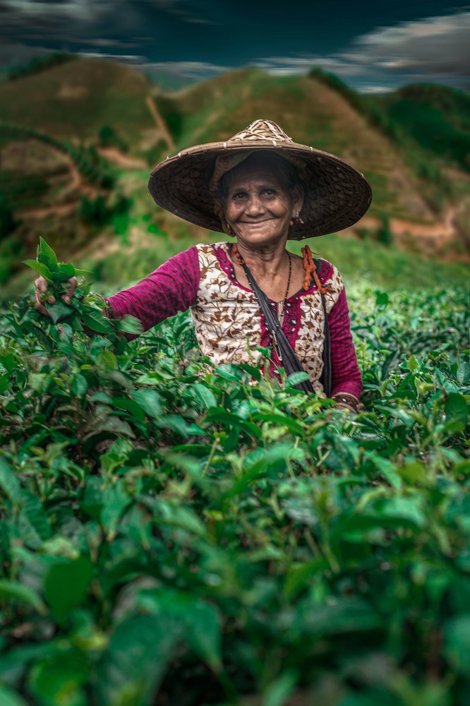 Photograph by Oyskuruni