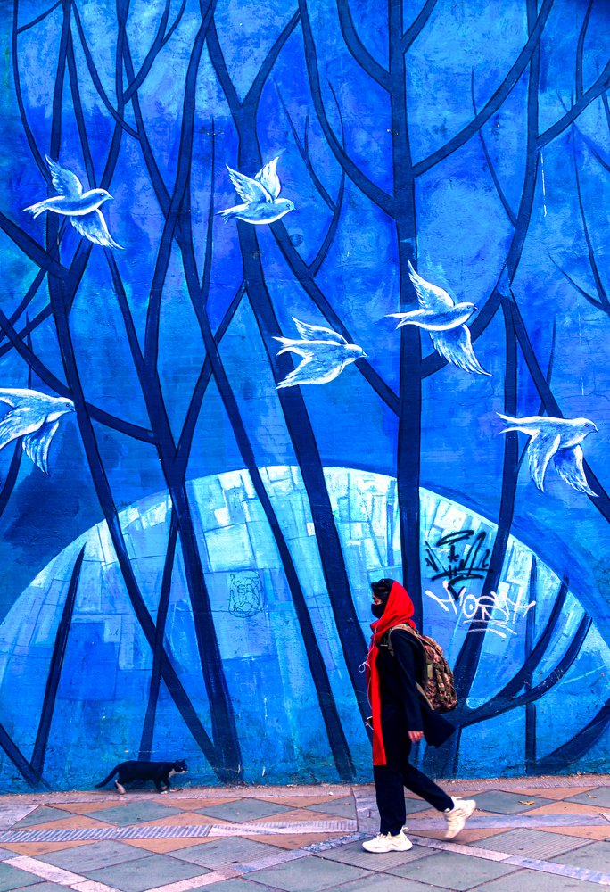 Cat with red scarf girl