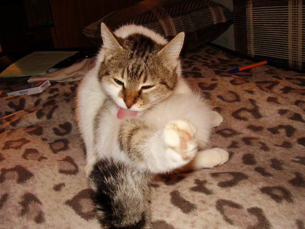 Фотография автора Артемий Николаевич