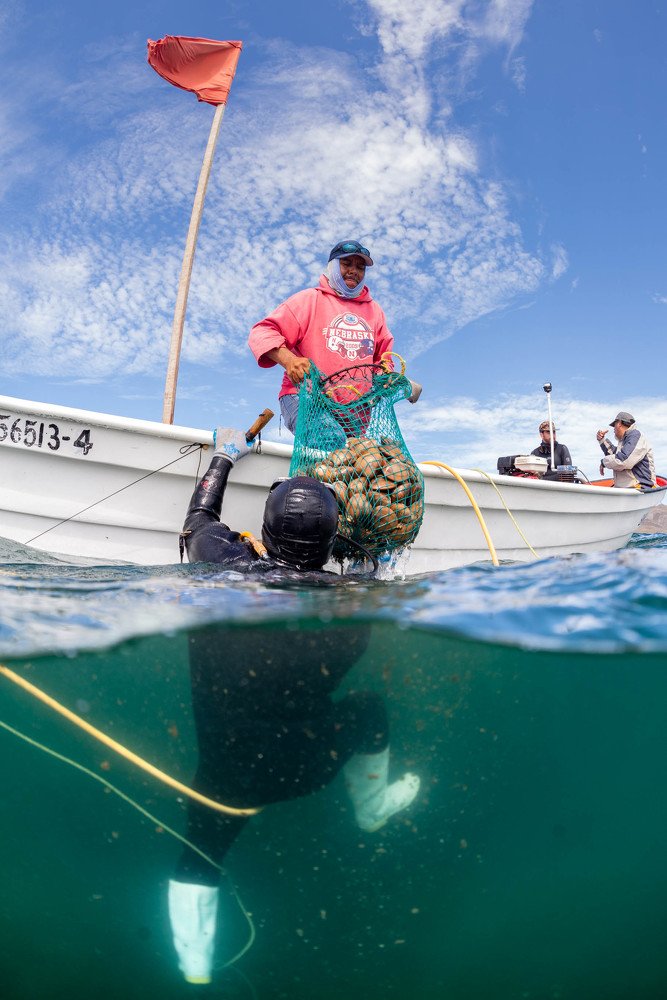 Photograph by RAMIRO DE JESUS AGUILAR