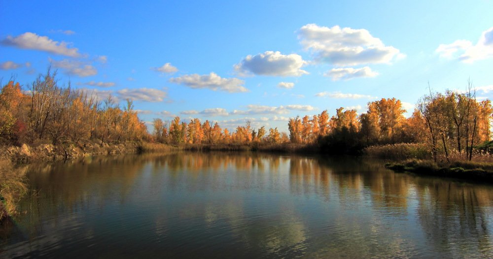 Золотая осень.