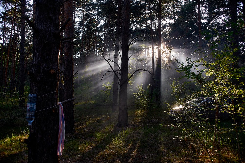 Фотография автора Игорь Игоревич