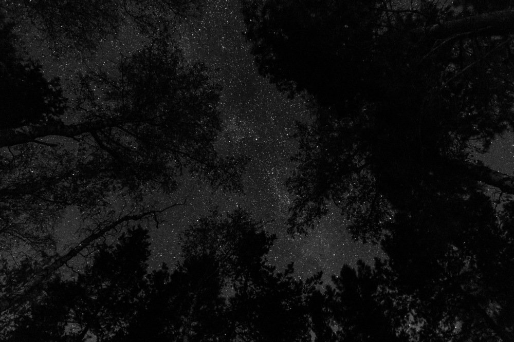 Фотография автора Игорь Игоревич