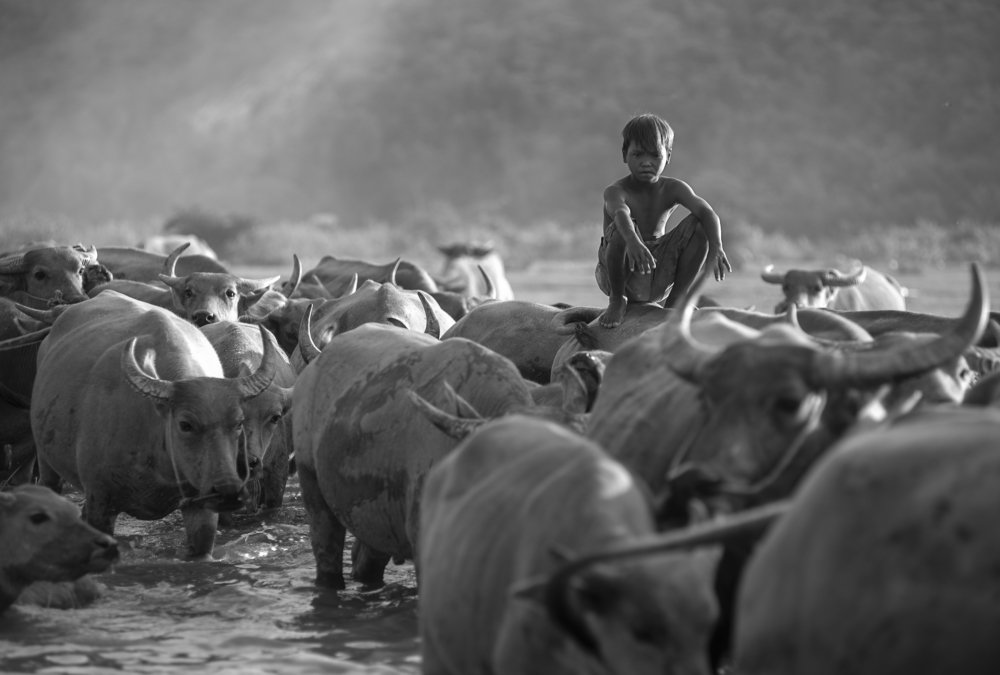 Photograph by Duong Quach