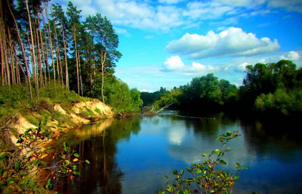 Photograph by леонид натапов