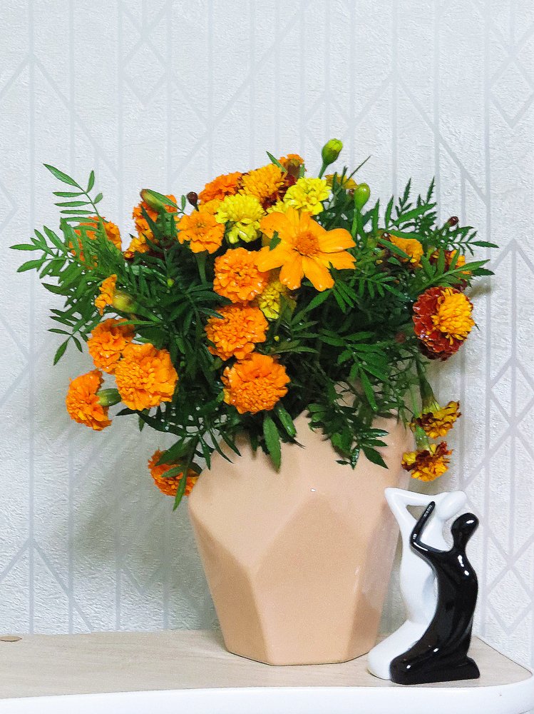 Photograph by Елена Жадько