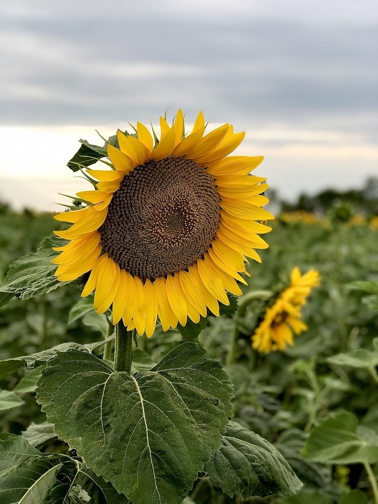 Photograph by Валерий Церковный