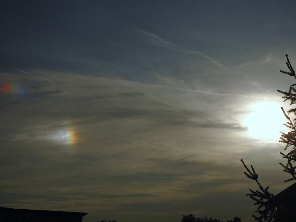 Photo #5016588