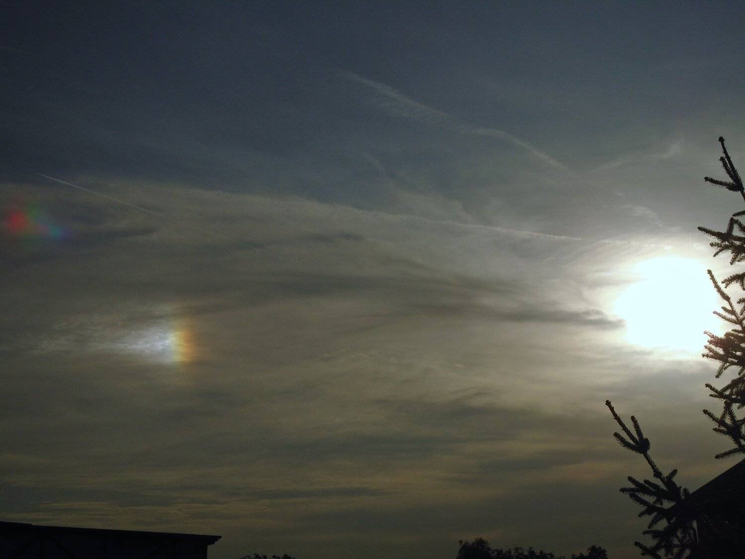 Photo #5016588
