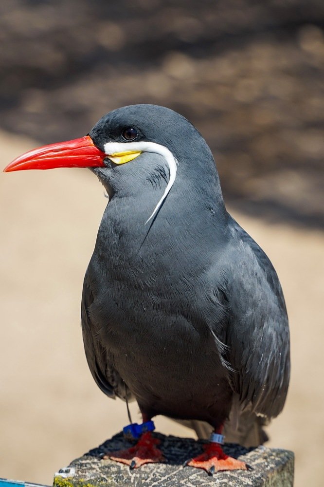 Photograph by Timea Kovacs