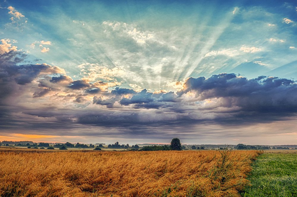 Photograph by Андрей Ныриков