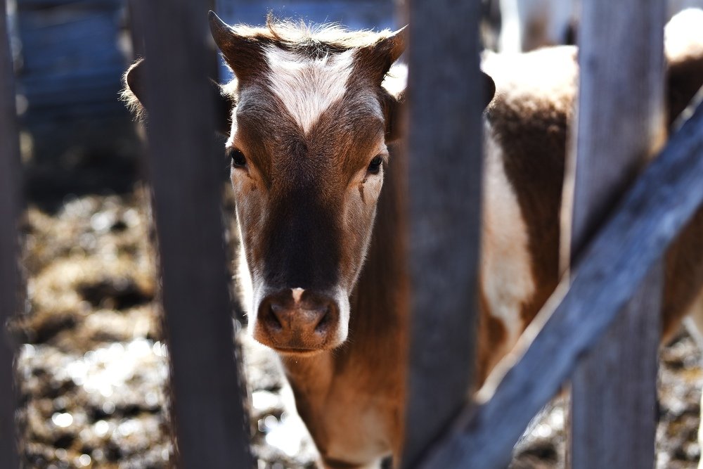 Фотография автора Ольга Келлер