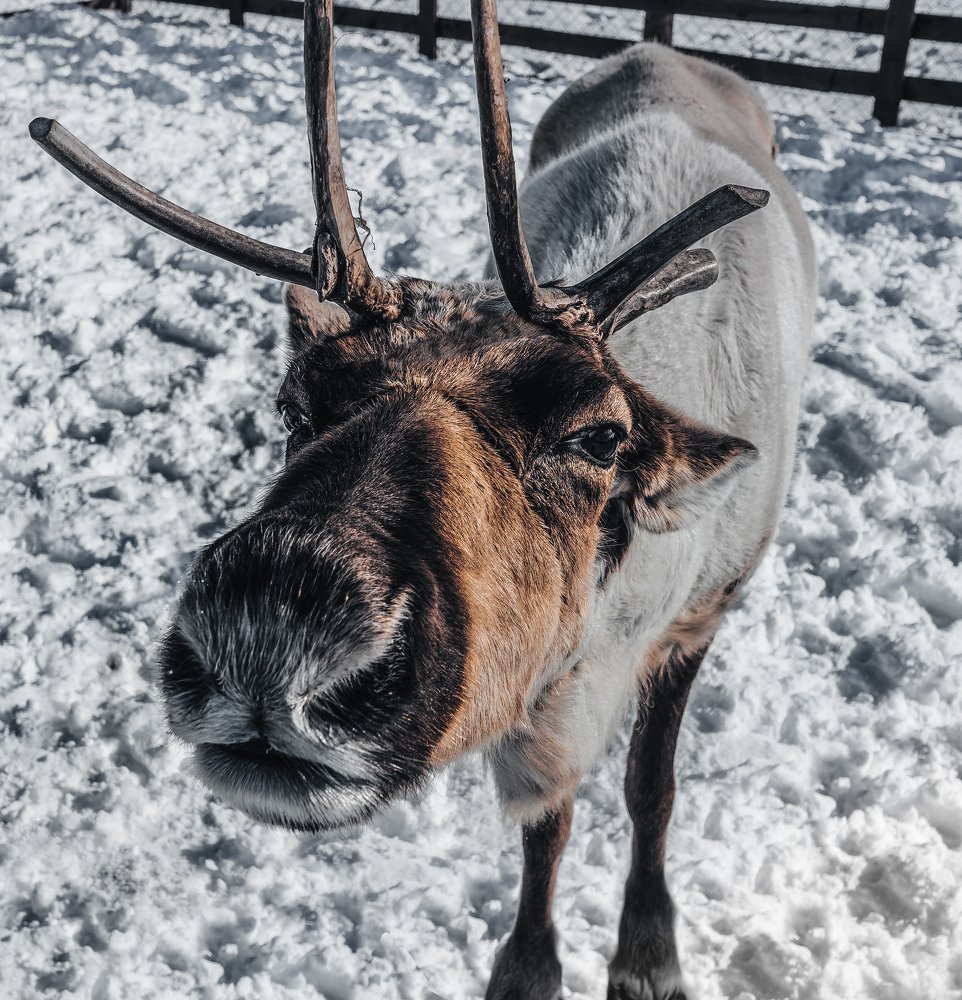 Photograph by Игорь Дудковский