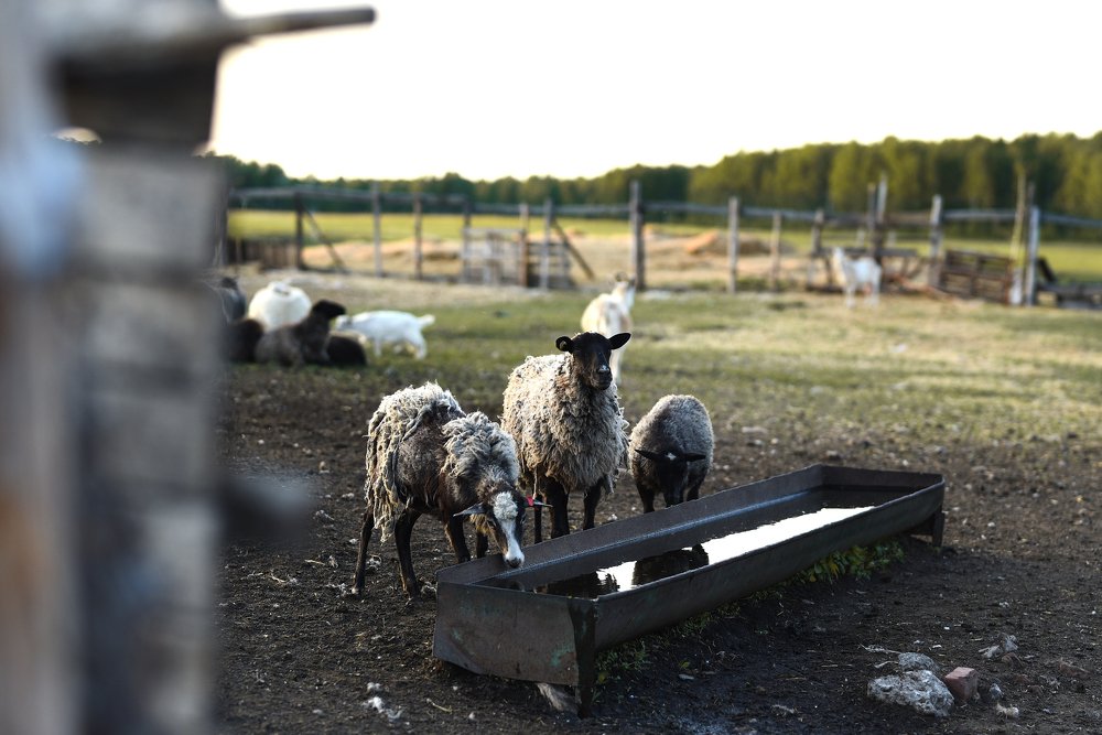Фотография автора Ольга Келлер