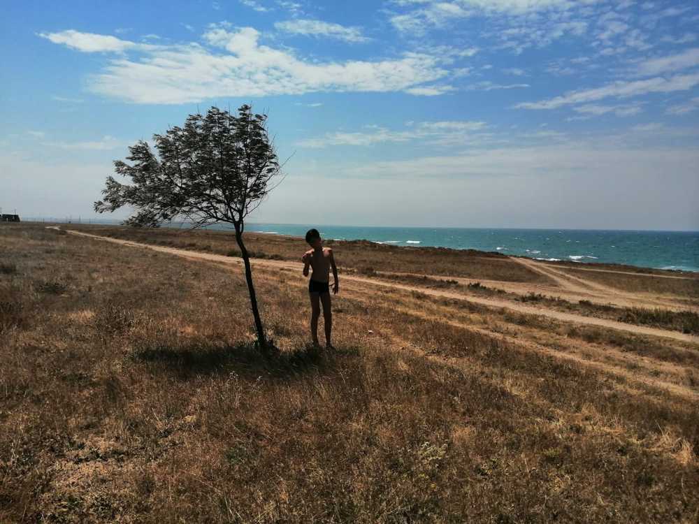 Photograph by Ксения Бельды