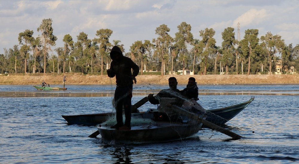 Фотография автора Adel elqamhawi Mohamed