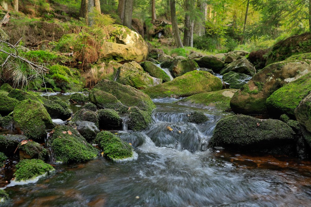 Photograph by Евгения Чех