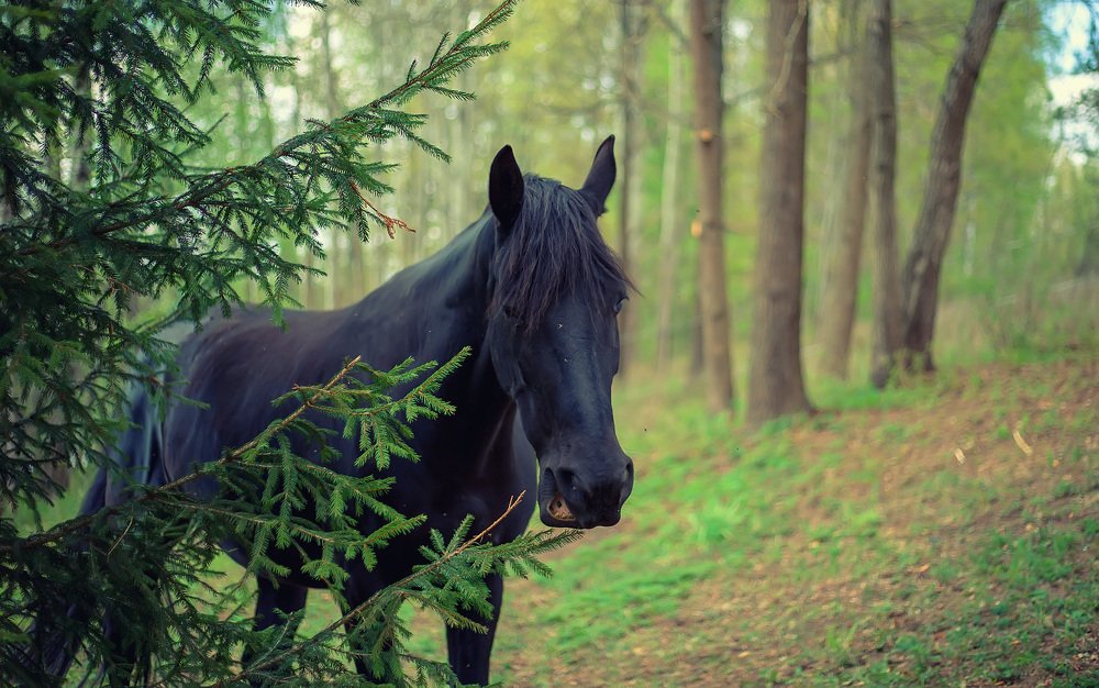 Photograph by Наталья Шалкевич