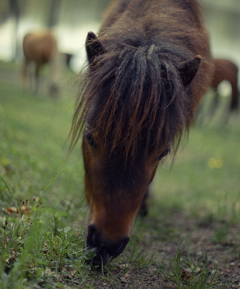 Photograph by Наталья Шалкевич