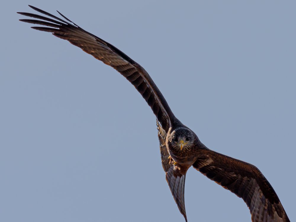 Photograph by Ricardo Núñez Montero