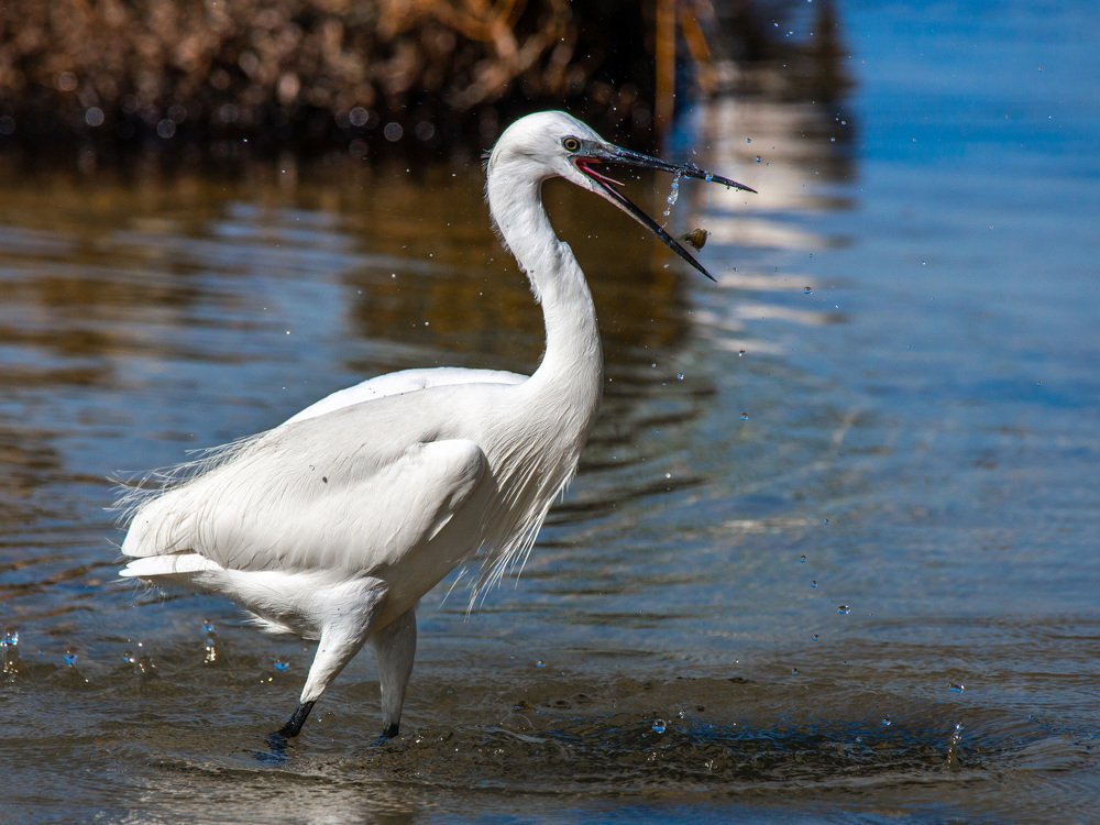 Photograph by Ricardo Núñez Montero