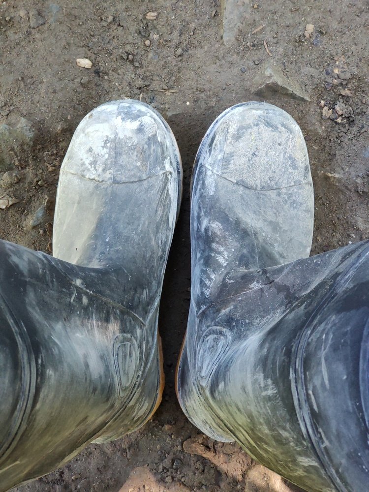 The Boots