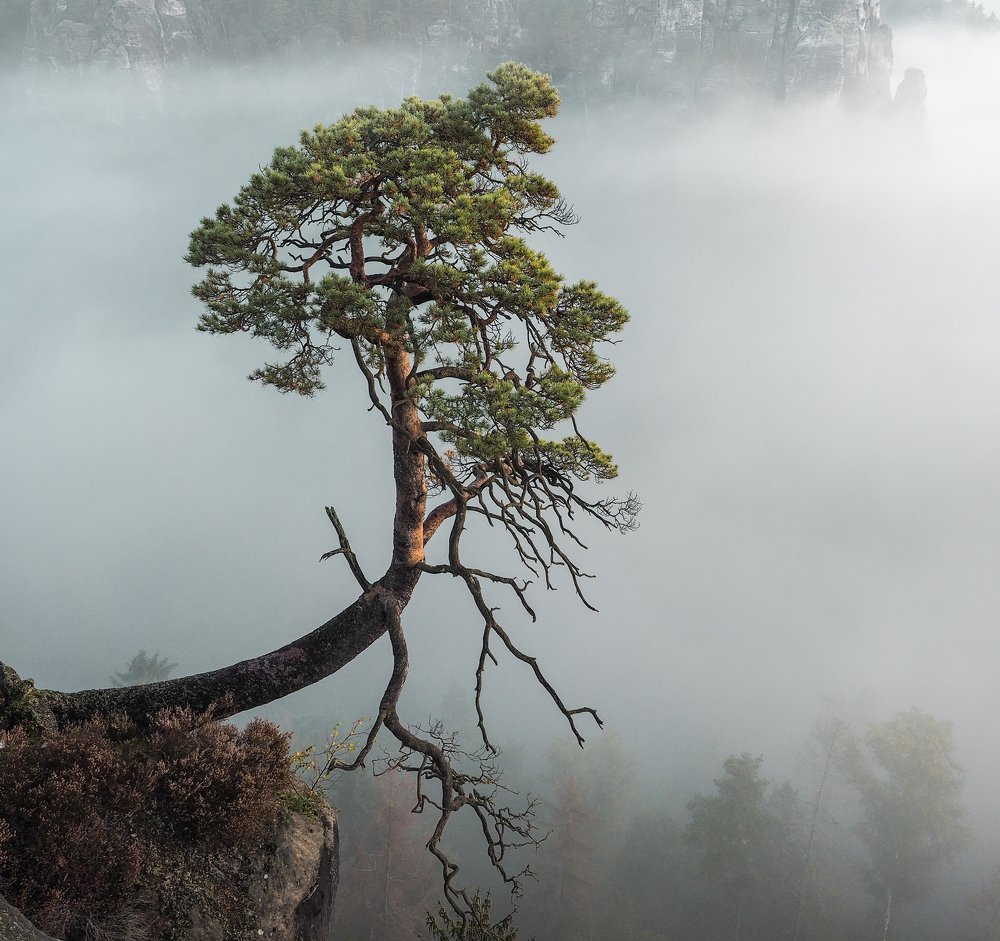 Photograph by Evgenz