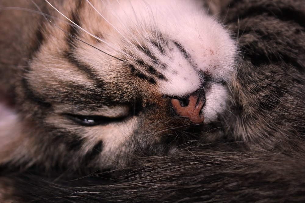 Фотография автора Владислава Андрюнина