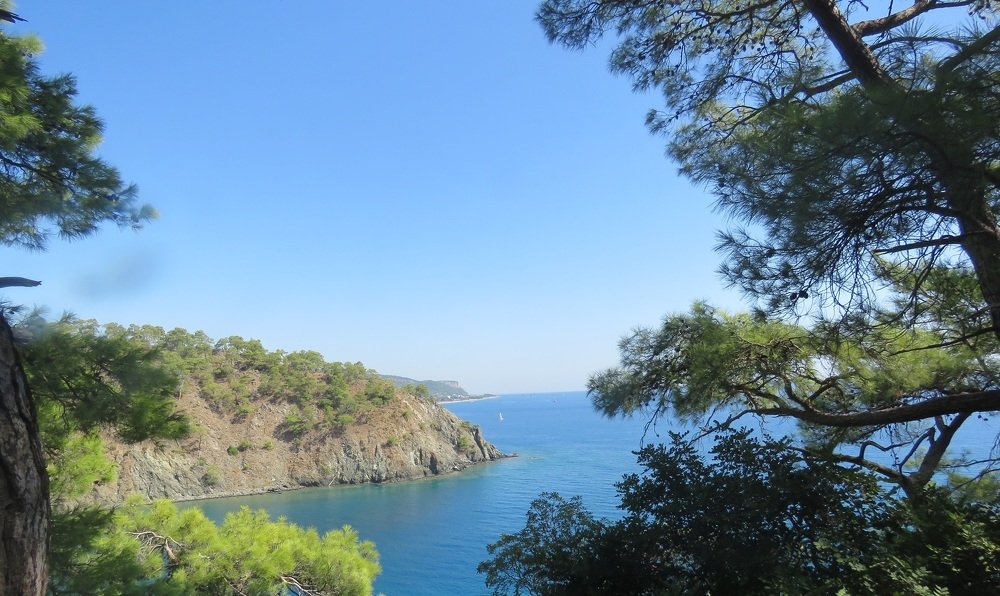 Фотография автора Елена Соловьева