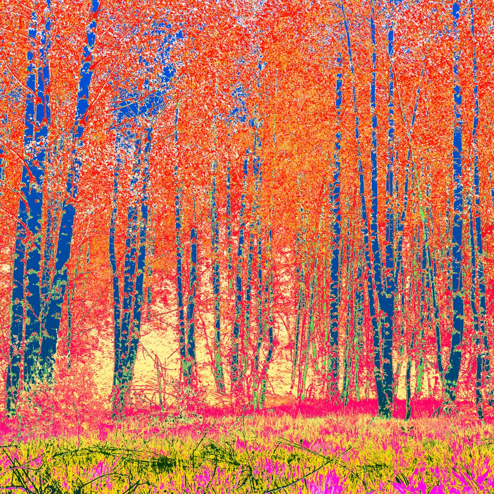 Фотография автора Vishnu Gopal