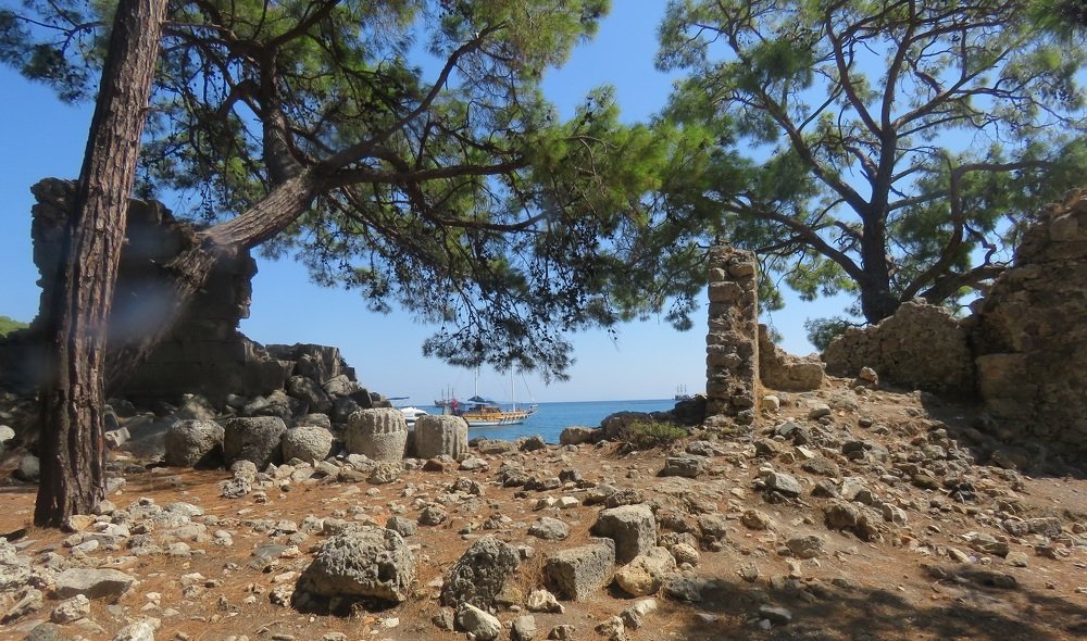 Фотография автора Елена Соловьева