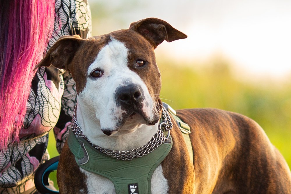 Photograph by Mariko