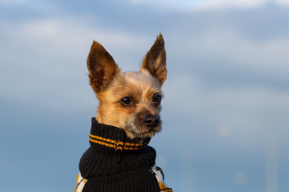 Photograph by Mariko