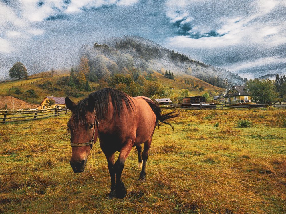 Життя в Карпатах