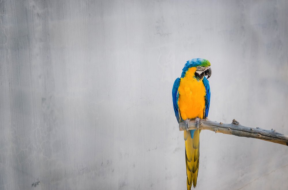 Photograph by Alekseu Maslovskiy