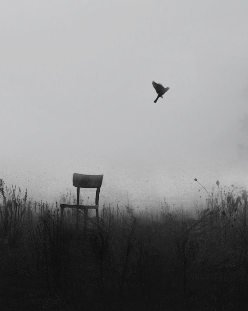 Photograph by Amir Amirsahlaniart