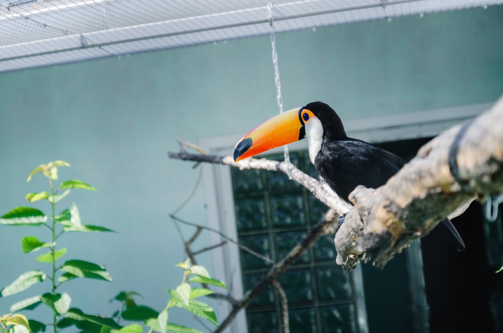 Photograph by Alekseu Maslovskiy