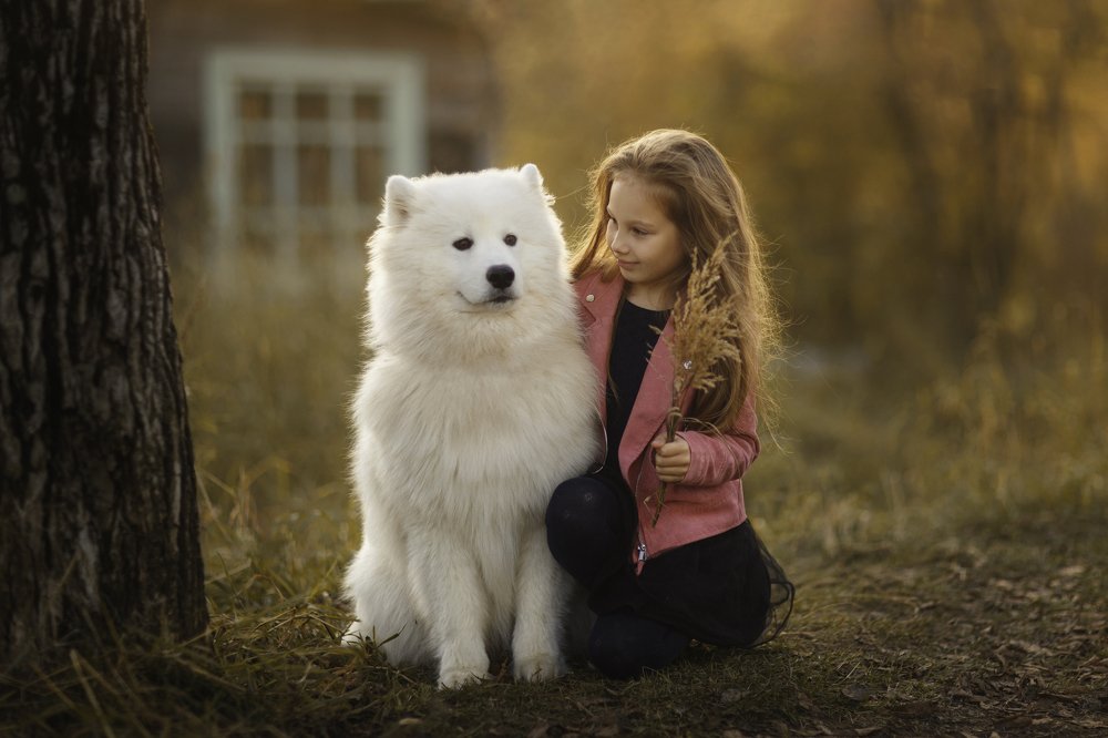 Photograph by Александр Петунин