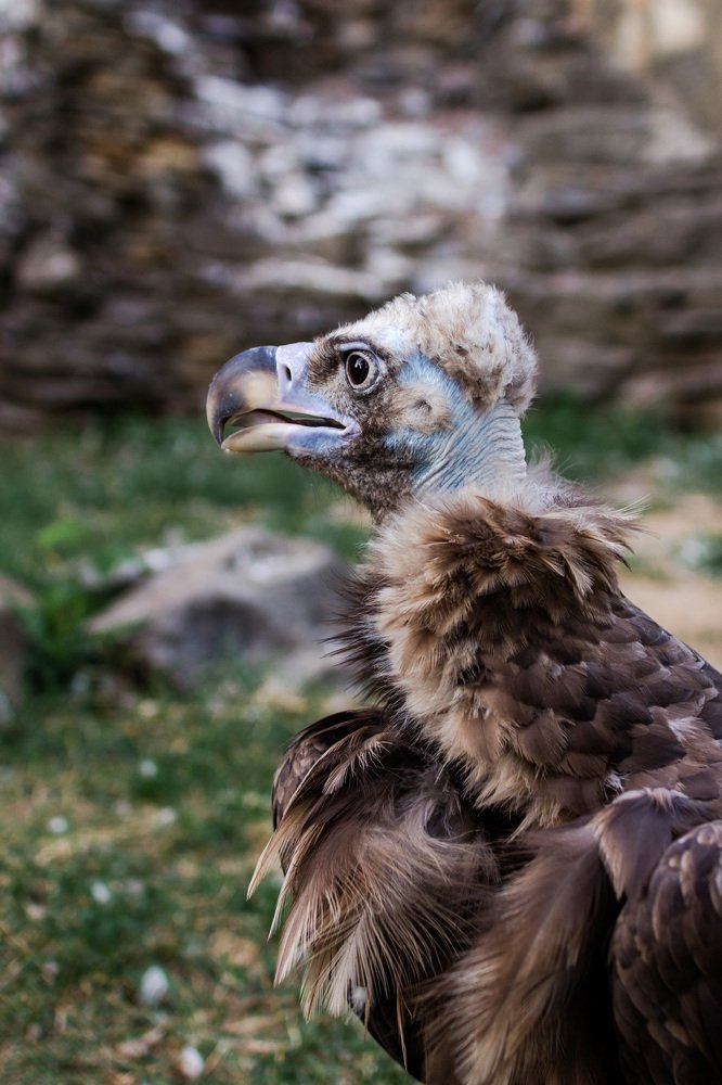 Photograph by Маргарита Таценко