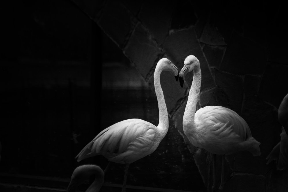 Photograph by Маргарита Таценко