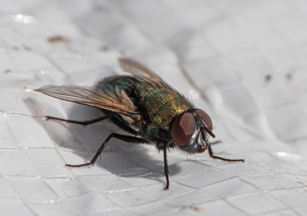 Photograph by Cristian Brancu