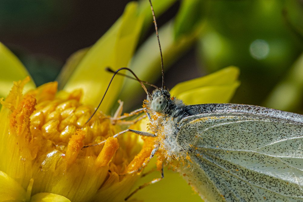 Photograph by Cristian Brancu