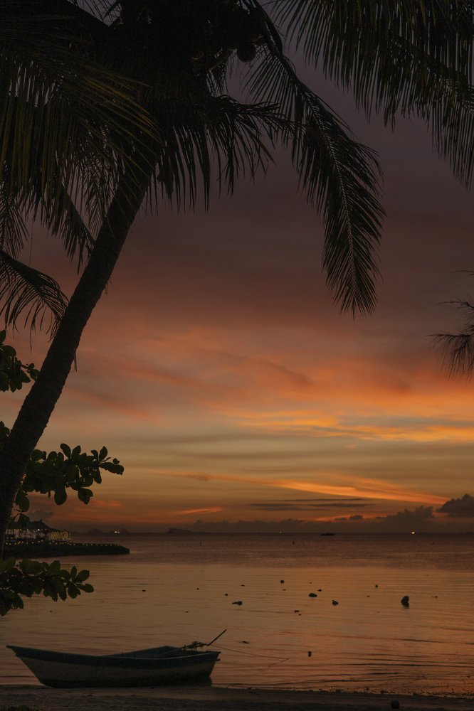 Photograph by Дмитрий Шульженко